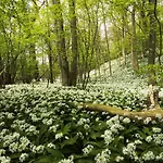 - Eetcafe - Riekelt 住宿加早餐酒店