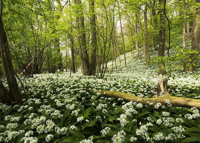 - Eetcafe - Riekelt Bed and breakfast