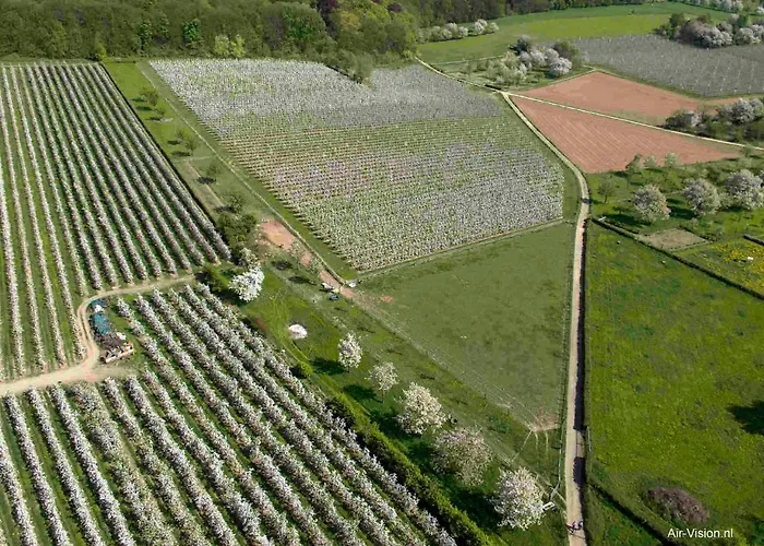 - Eetcafe - Riekelt Bed and breakfast Gronsveld